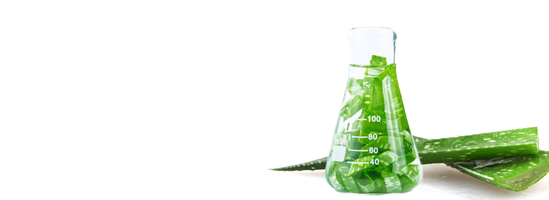 Aloe-vera