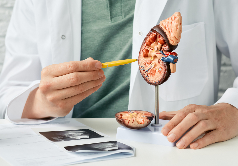 Kidney Health
