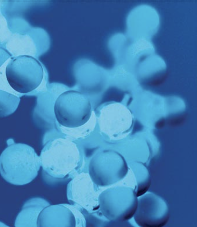 Natto NSP-2 product