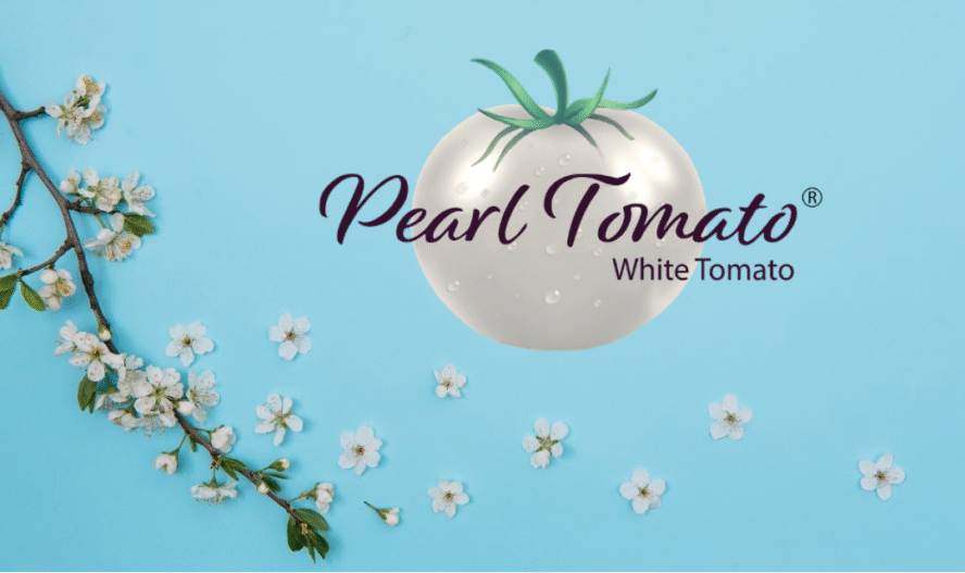 vesta_cherry_branch_with_tomato-888×527