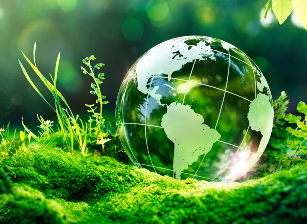 Earth Day – Environment – Green Globe In Forest With Moss And Defocused Abstract Sunlight