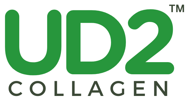 udc.-and-vision-logos