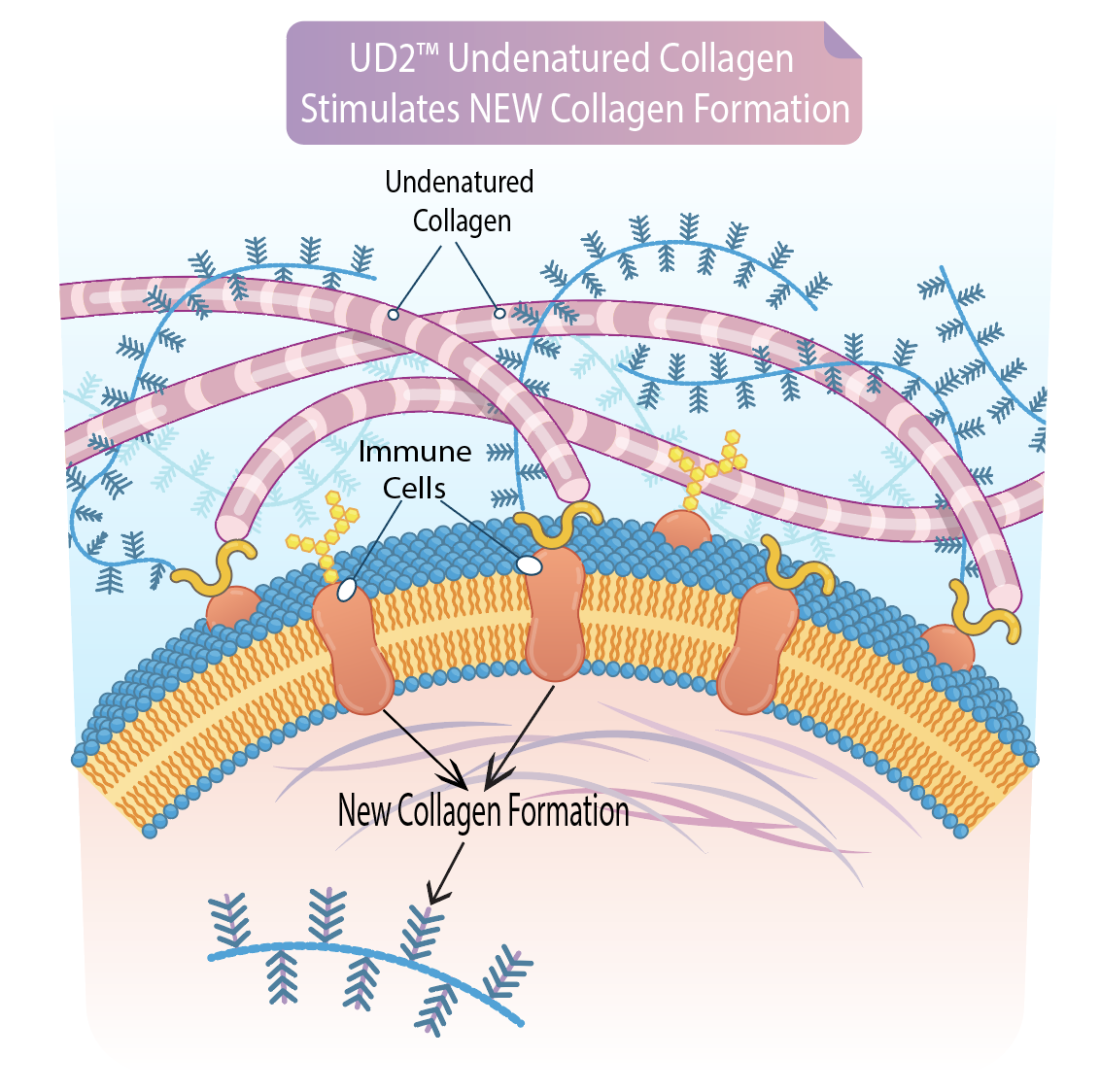 Screenshot-2024-04-15-at-11.00.38 AM