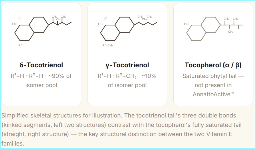 Science of AnnattoActive
