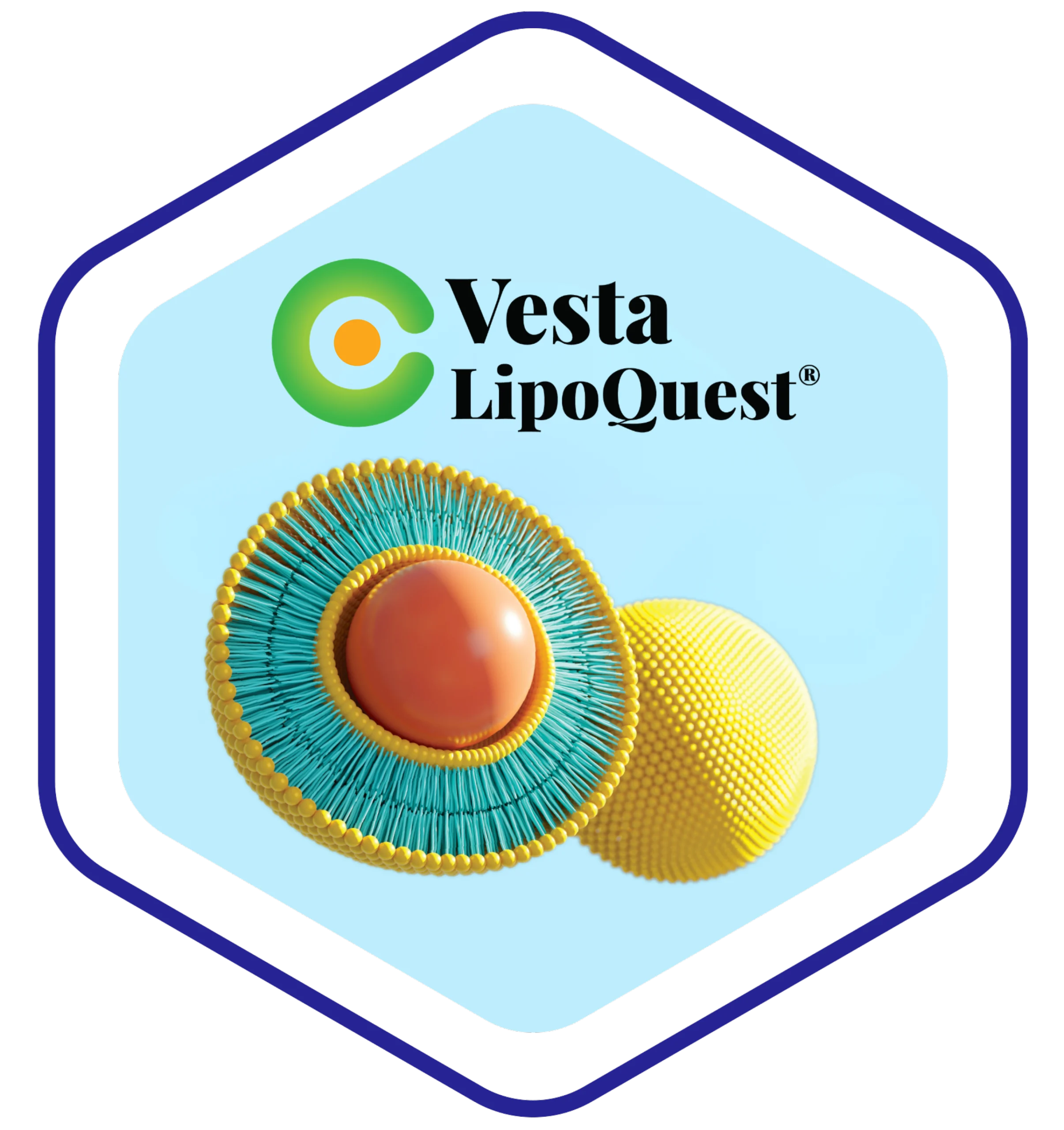 LipoQuest-hexagon-with-orange Graphic rendering of liposome with LipoQuest logo